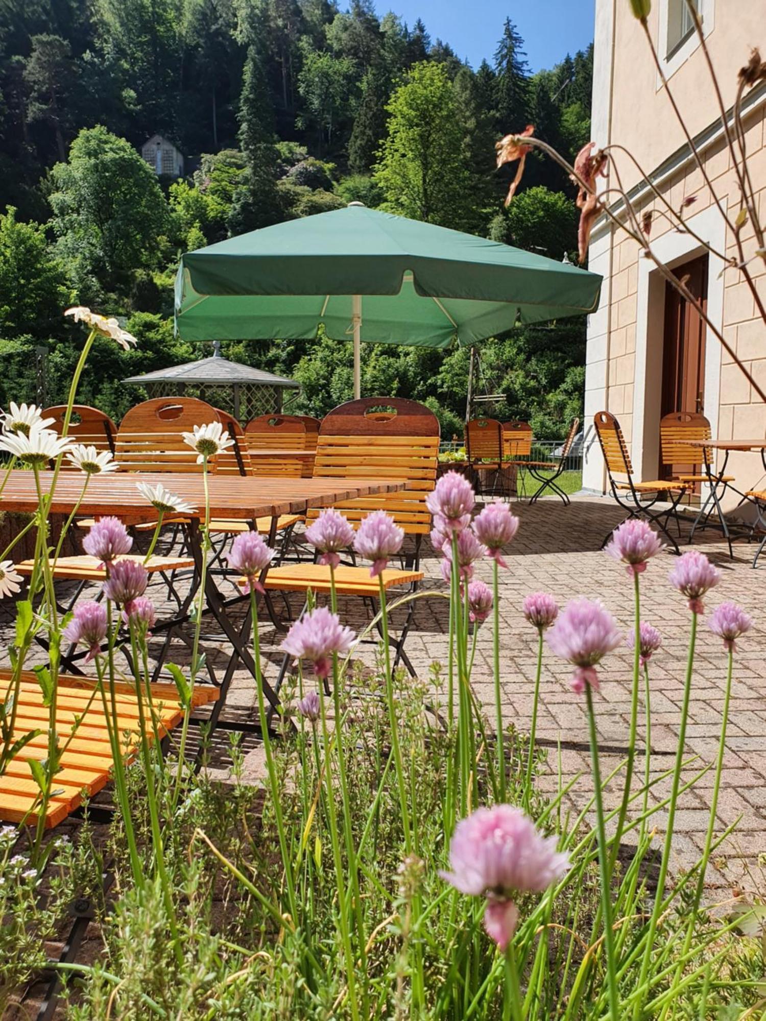 Hotel Garni Dekorahaus Bad Schandau Eksteriør bilde